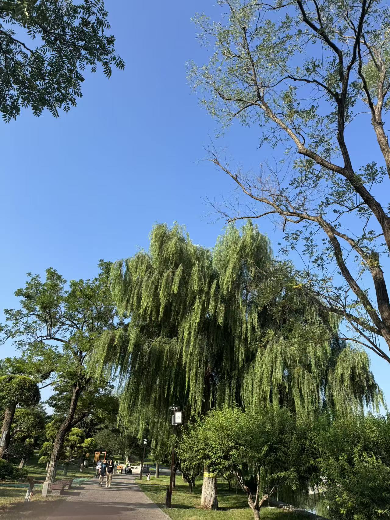 气动球阀